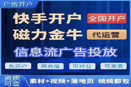 行业领先企业背后的信息流代运营案例